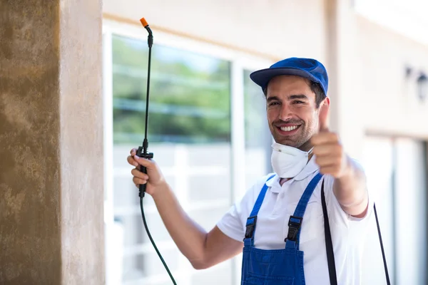 Ladera Ranch Wasp Removal