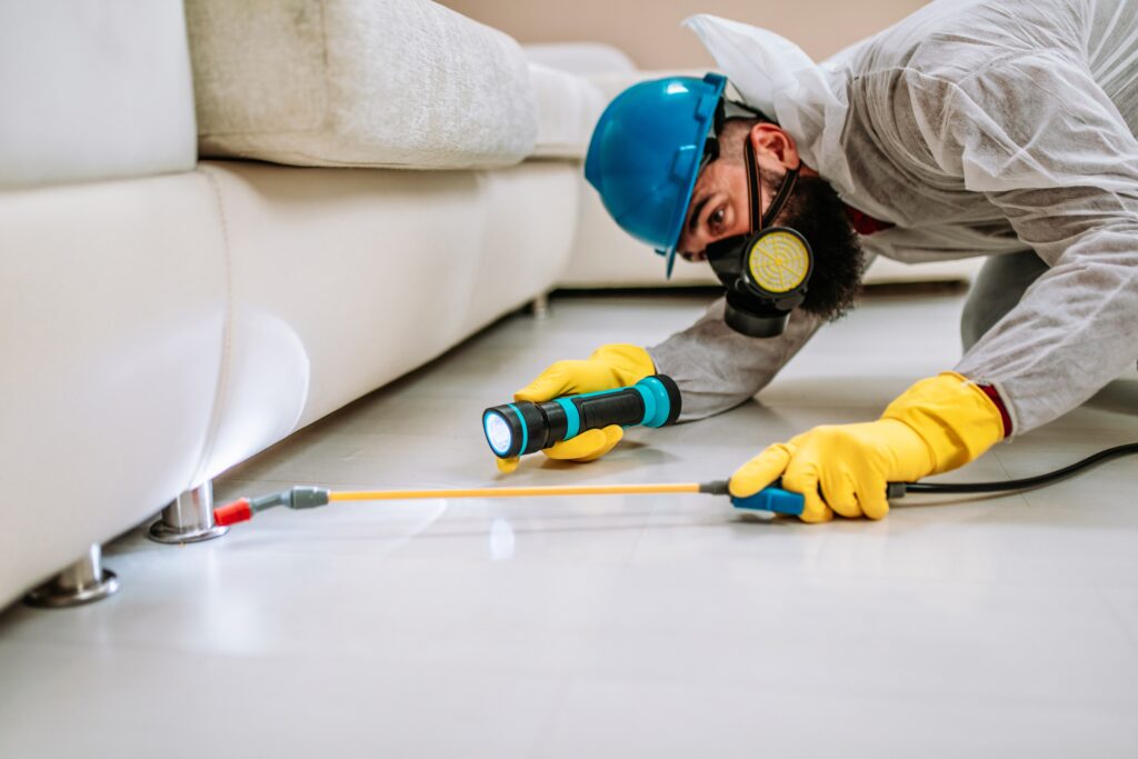 Ladera Ranch Termite Control