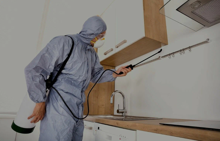 Ladera Ranch pest managment